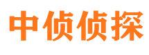 九龙坡市婚外情调查